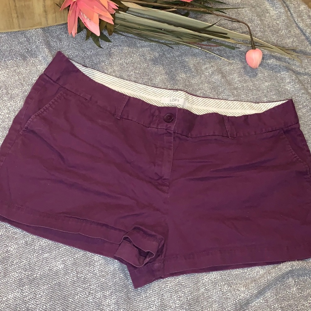 Ann Taylor Loft Purple Shorts size 18